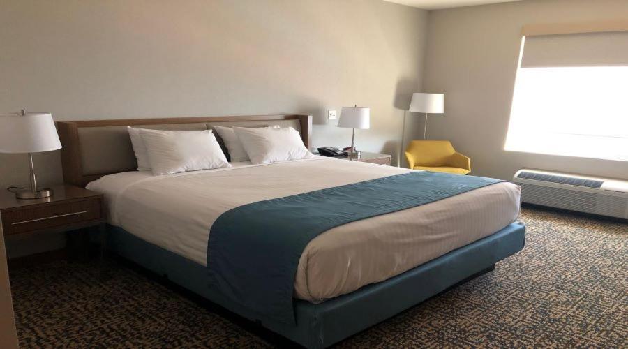 Havasu Landing Resort And Casino Havasu Lake Ngoại thất bức ảnh