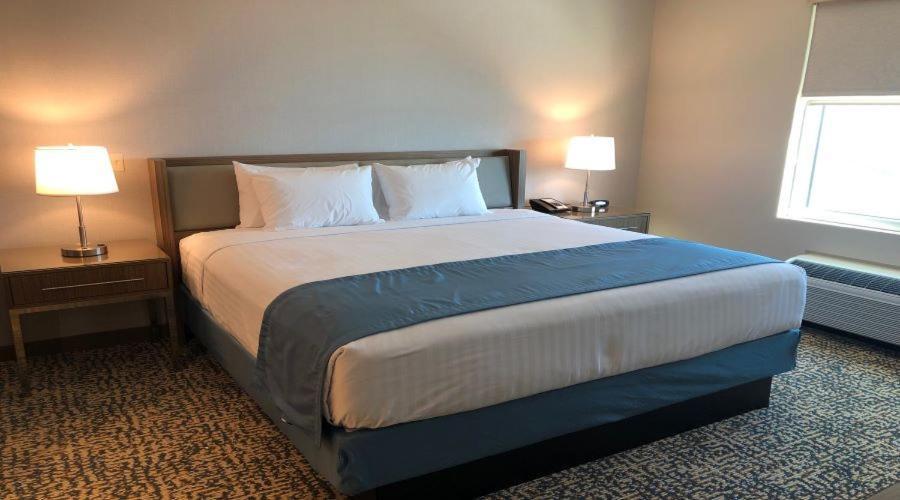 Havasu Landing Resort And Casino Havasu Lake Ngoại thất bức ảnh