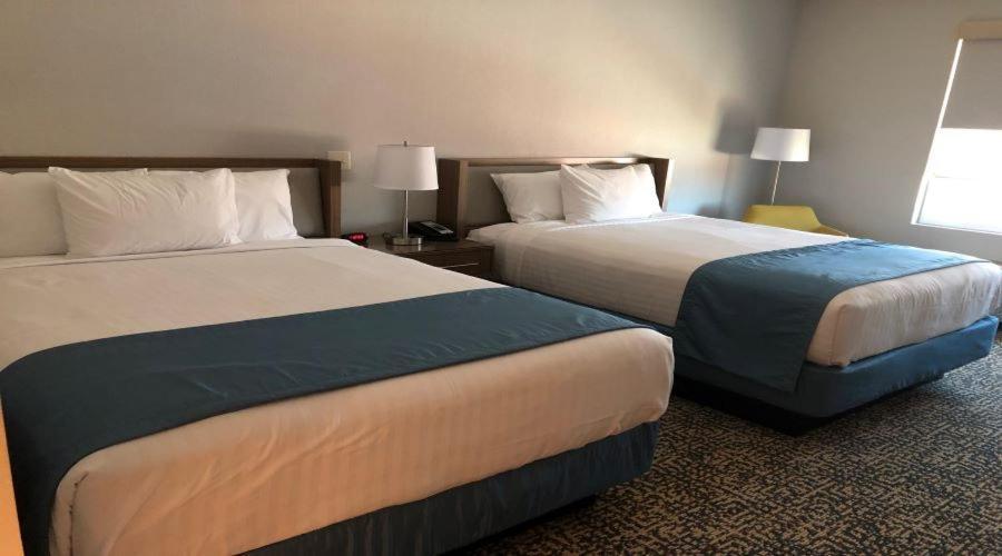 Havasu Landing Resort And Casino Havasu Lake Ngoại thất bức ảnh