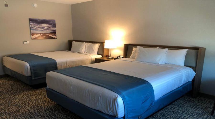 Havasu Landing Resort And Casino Havasu Lake Ngoại thất bức ảnh